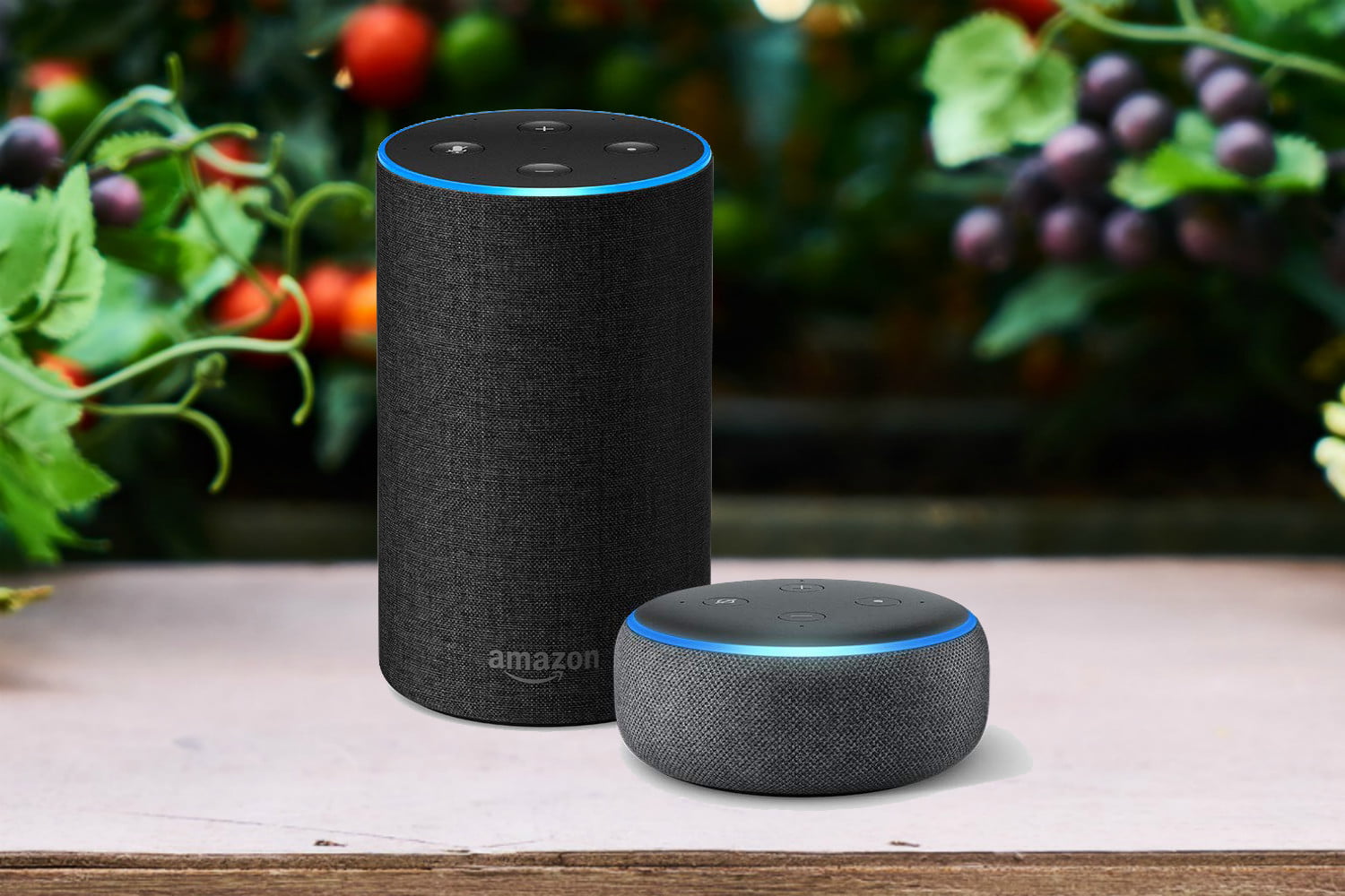 Amazon Echo, os Smart Speakers da Amazon.