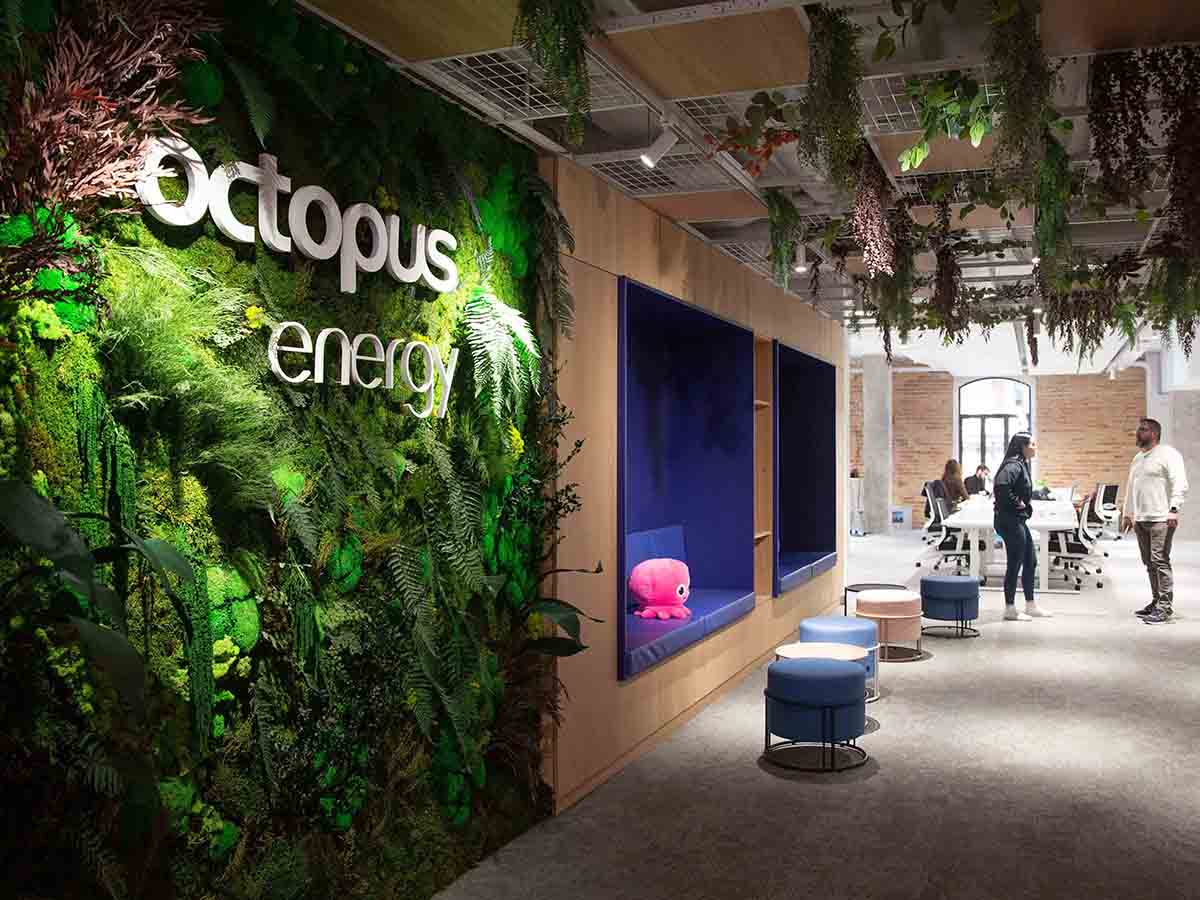 Octopus Energy inaugura nuevas oficinas en Valencia - El Periódico de la Energía