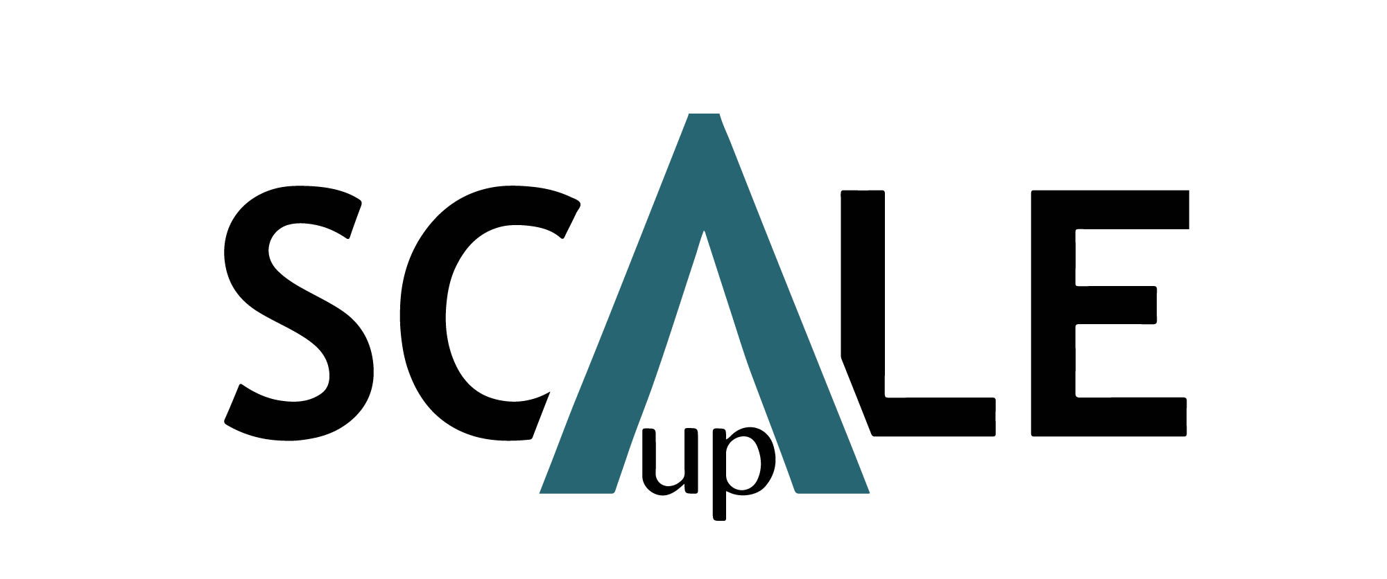 Home - Scale Up